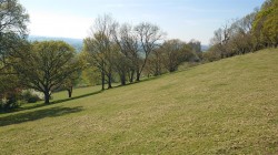 Images for Middle Chinnock, Crewkerne