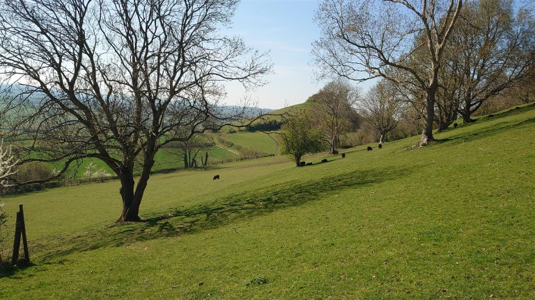 Images for Middle Chinnock, Crewkerne