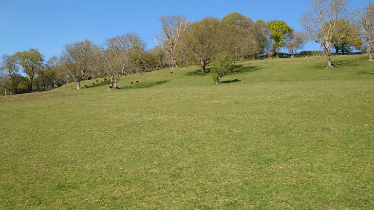 Images for Middle Chinnock, Crewkerne