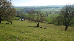 Images for Middle Chinnock, Crewkerne