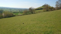 Images for Middle Chinnock, Crewkerne