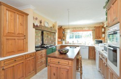 Images for Wales, Queen Camel, Yeovil