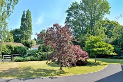 Images for Wales, Queen Camel, Yeovil