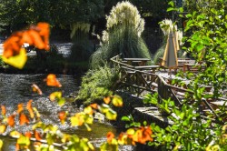 Images for Tuckenhay, Totnes
