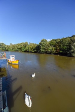 Images for Tuckenhay, Totnes