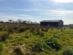 Images for Holsworthy
