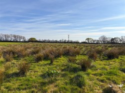 Images for Holsworthy