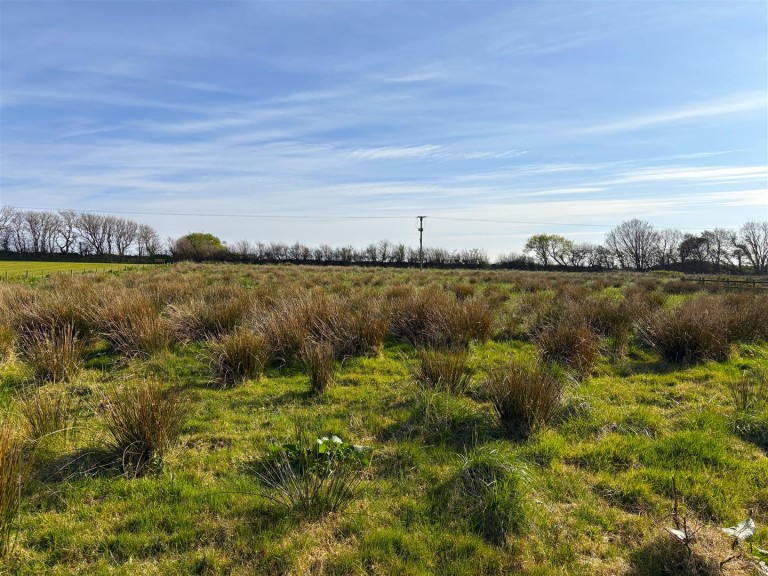 Images for Holsworthy