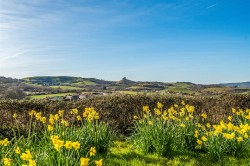 Images for Dark Lane, Bridport
