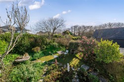 Images for Bossiney, Tintagel