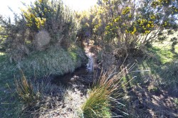 Images for Carloggas, St. Austell