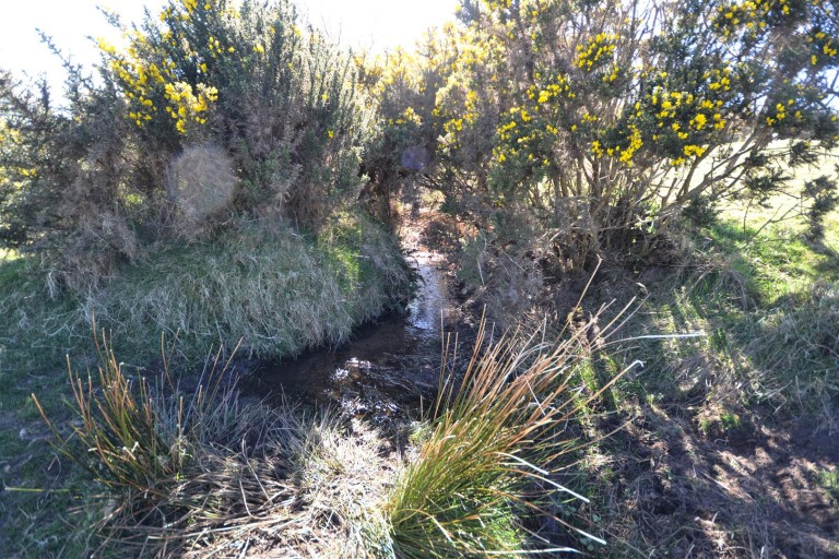 Images for Carloggas, St. Austell