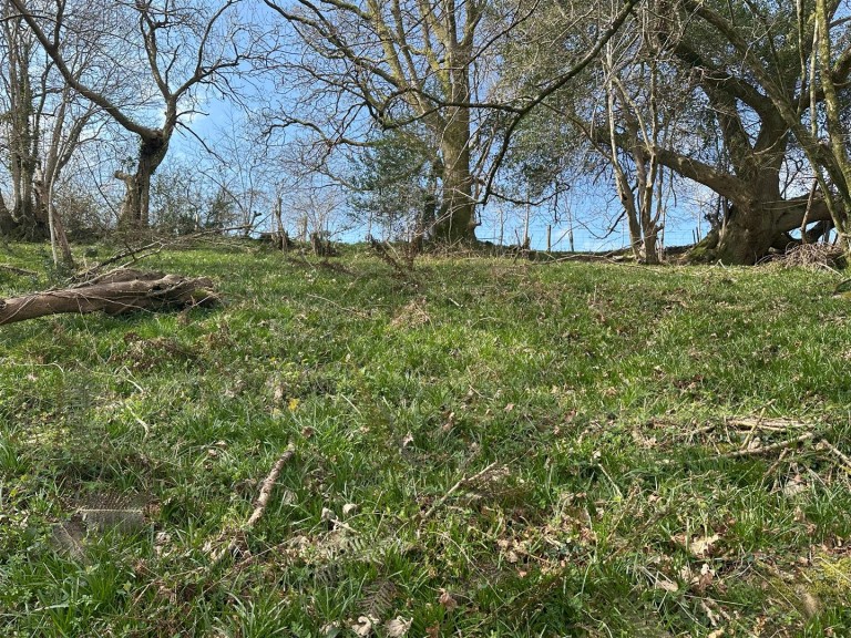 Images for Mill Lane, Offwell