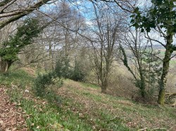 Images for Mill Lane, Offwell