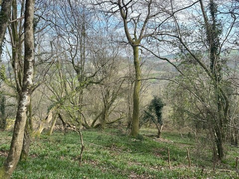 Click the photo for more details of Mill Lane, Offwell