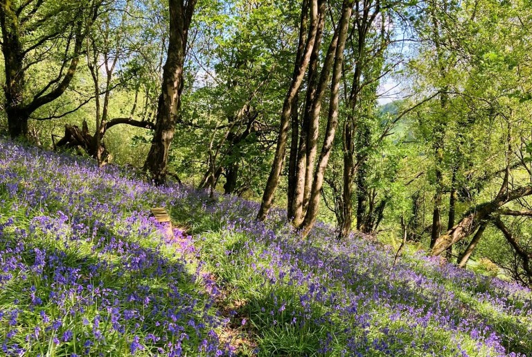 Images for Mill Lane, Offwell