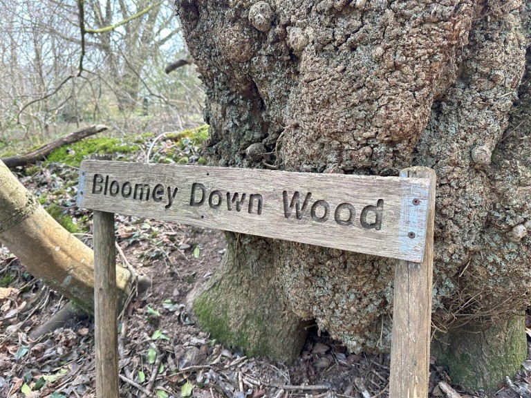 Images for Mill Lane, Offwell