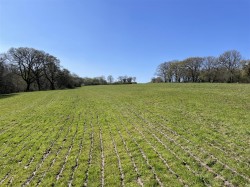 Images for West Anstey, South Molton