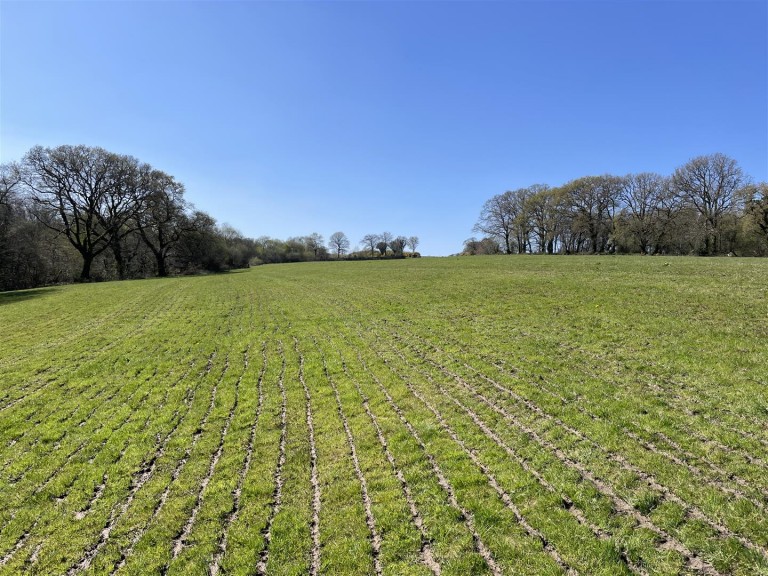 Images for West Anstey, South Molton