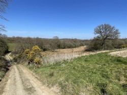 Images for West Anstey, South Molton