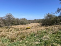 Images for West Anstey, South Molton