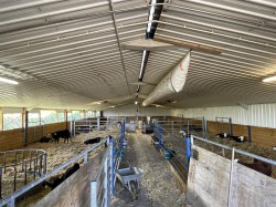 Images for West Anstey, South Molton