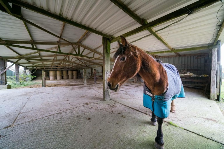 Images for Godshill, Isle Of Wight