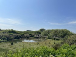 Images for Godshill, Isle Of Wight