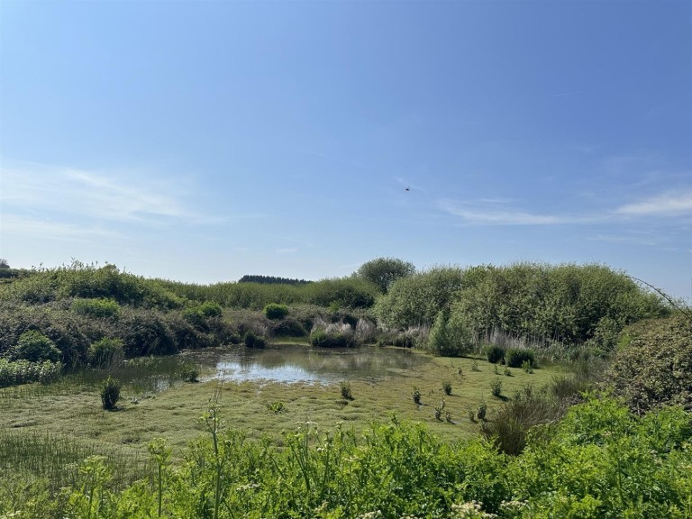 Images for Godshill, Isle Of Wight