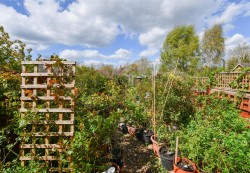 Images for Kingfisher Drive, Burwell