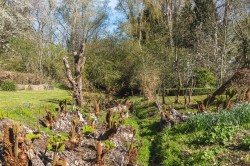 Images for Waltham's Cross, Great Bardfield, Braintree