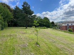 Images for St. Andrews Road, Bridport