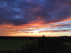 Images for Hartgrove, Shaftesbury