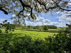 Images for Seaview, Isle of Wight