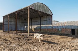 Images for Whitchurch Canonicorum, Bridport, West Dorset