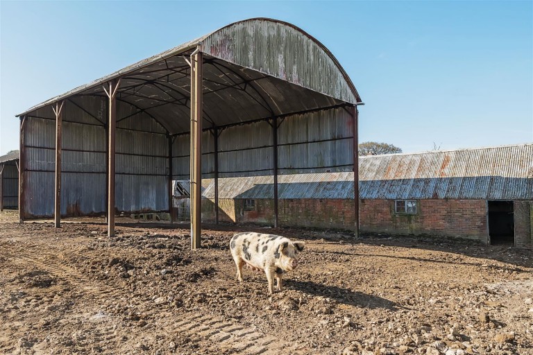 Images for Whitchurch Canonicorum, Bridport, West Dorset