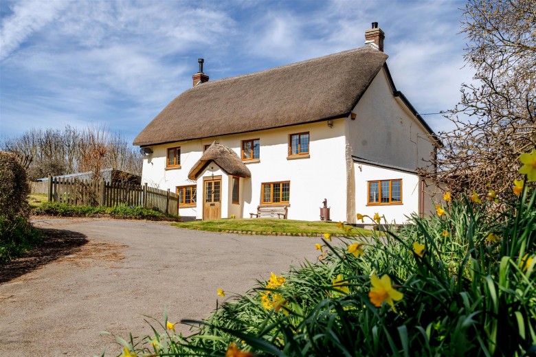 Click the photo for more details of Tedburn St Mary