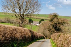 Images for Tedburn St Mary
