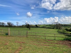 Images for Barton Hill Road, Torquay