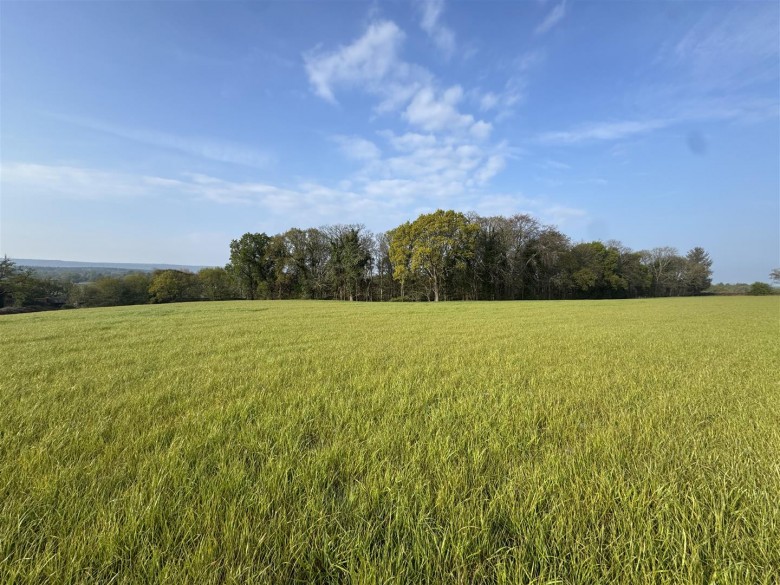 Click the photo for more details of Puddletown Road, Wareham