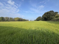 Images for Puddletown Road, Wareham
