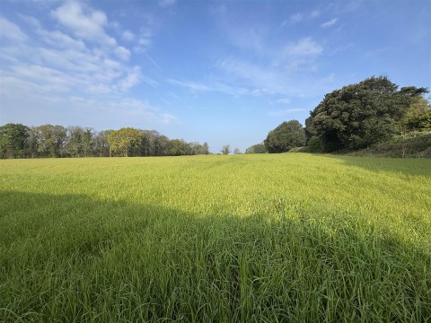 Click the photo for more details of Puddletown Road, Wareham
