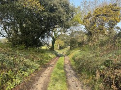 Images for Puddletown Road, Wareham
