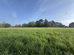 Images for Puddletown Road, Wareham