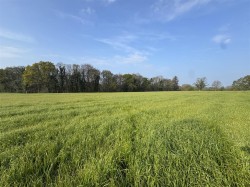 Images for Puddletown Road, Wareham
