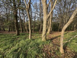 Images for Puddletown Road, Wareham