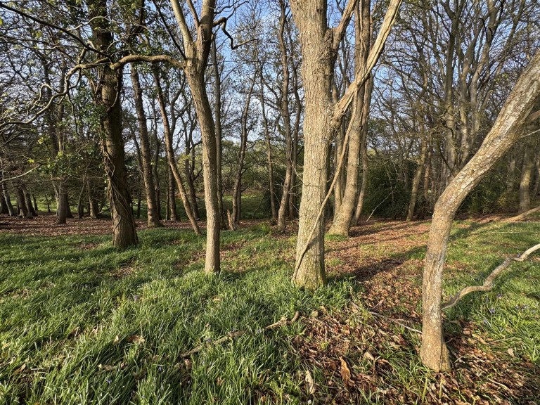 Images for Puddletown Road, Wareham