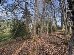 Images for Puddletown Road, Wareham