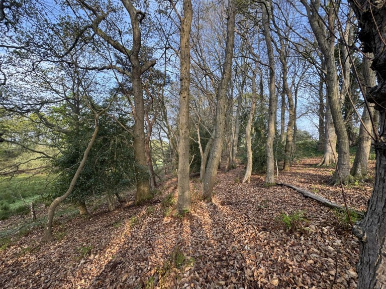 Images for Puddletown Road, Wareham