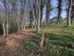 Images for Puddletown Road, Wareham